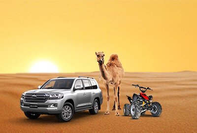 morning desert safari